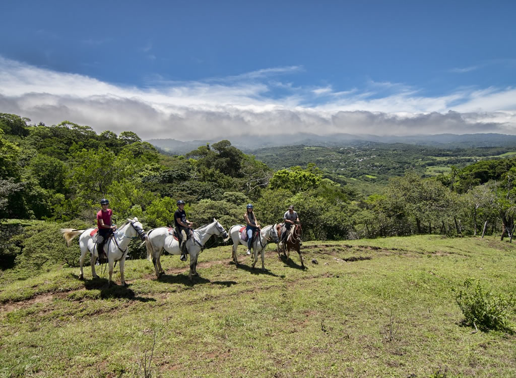 Aventura a Caballo y Experiencia Arbórea