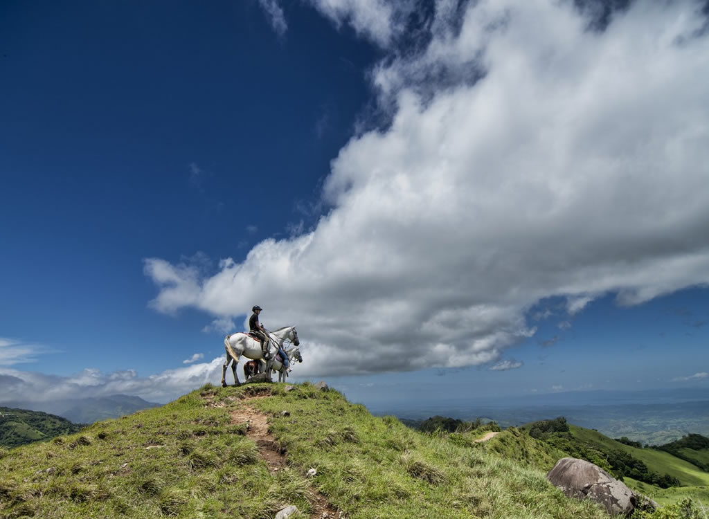 Aventura a Caballo y Experiencia Arbórea