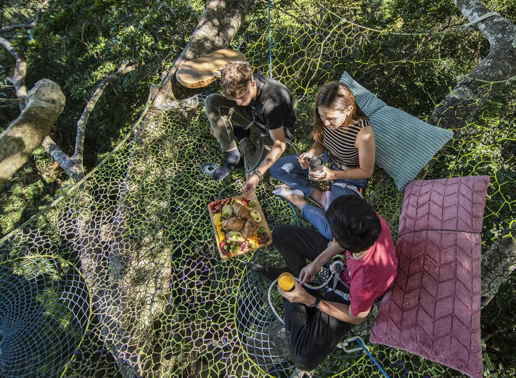 Aventura a Caballo y Experiencia Arbórea