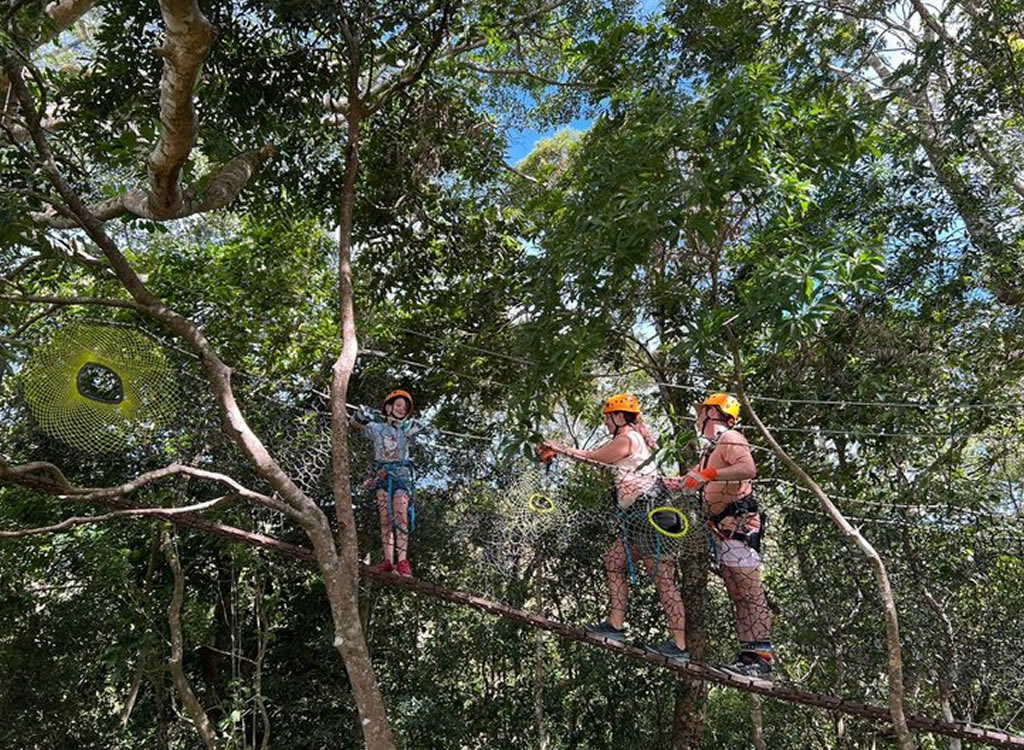 Experiencia Arbórea